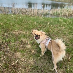 Meet your Posher, Leah